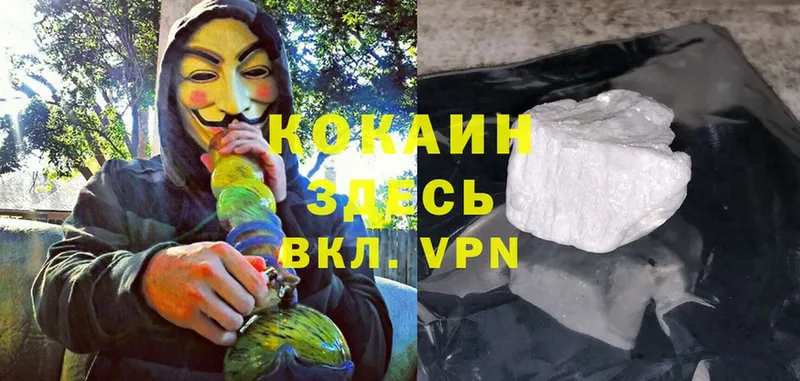 цены   Жуковка  COCAIN VHQ 