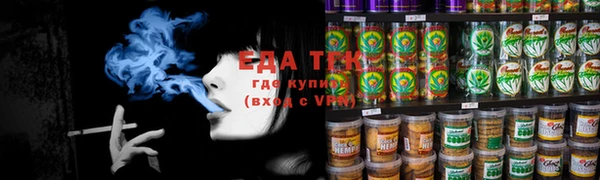 гашик Надым