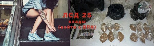 гашик Надым