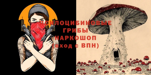 ECSTASY Навашино