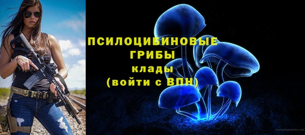 соль курить ск Михайловка