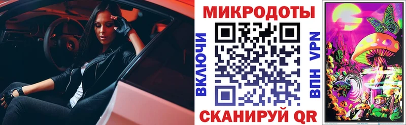 Галлюциногенные грибы Psilocybine cubensis Жуковка